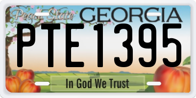 GA license plate PTE1395