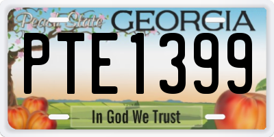 GA license plate PTE1399