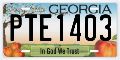 GA license plate PTE1403