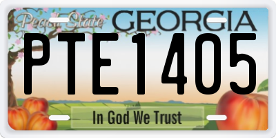 GA license plate PTE1405