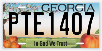 GA license plate PTE1407