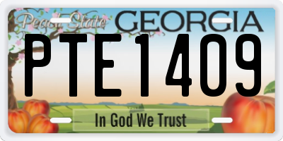GA license plate PTE1409