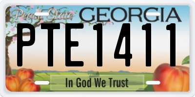 GA license plate PTE1411