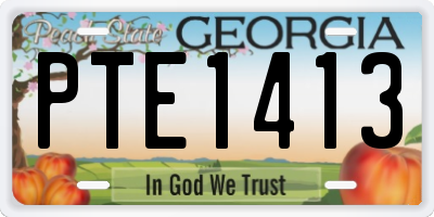 GA license plate PTE1413