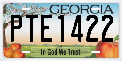 GA license plate PTE1422