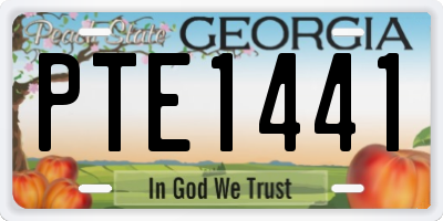 GA license plate PTE1441
