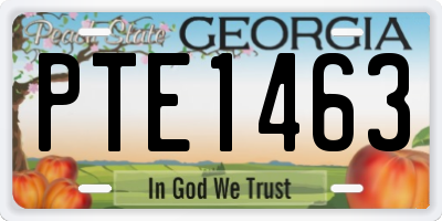 GA license plate PTE1463