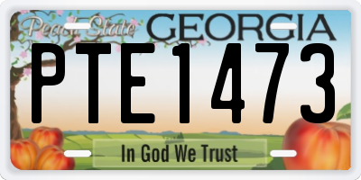 GA license plate PTE1473