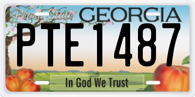 GA license plate PTE1487