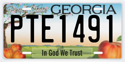 GA license plate PTE1491