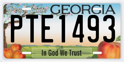 GA license plate PTE1493