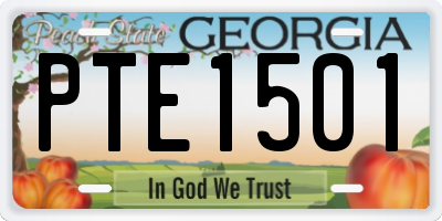 GA license plate PTE1501