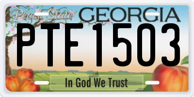 GA license plate PTE1503