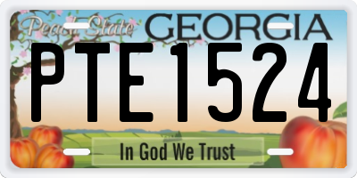 GA license plate PTE1524