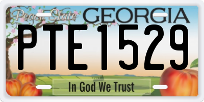GA license plate PTE1529