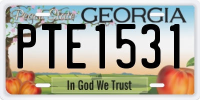 GA license plate PTE1531