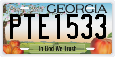 GA license plate PTE1533