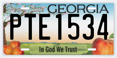GA license plate PTE1534