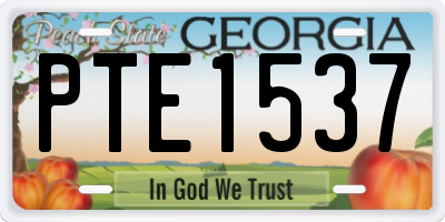 GA license plate PTE1537