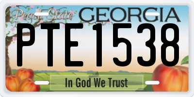 GA license plate PTE1538