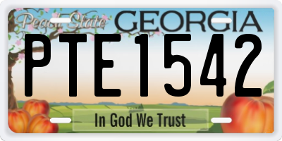 GA license plate PTE1542