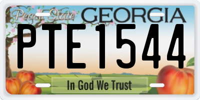 GA license plate PTE1544