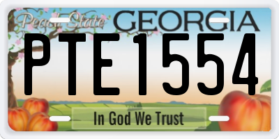 GA license plate PTE1554
