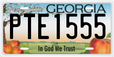 GA license plate PTE1555