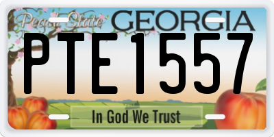 GA license plate PTE1557