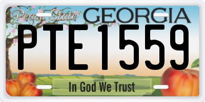 GA license plate PTE1559