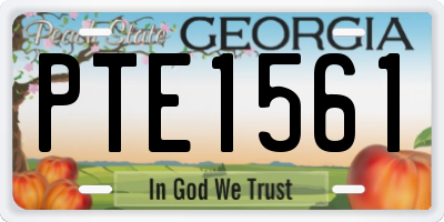 GA license plate PTE1561