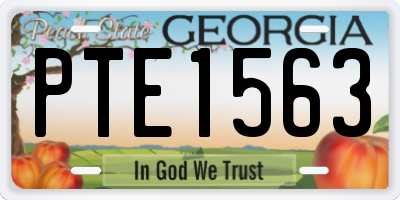 GA license plate PTE1563