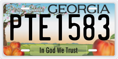 GA license plate PTE1583