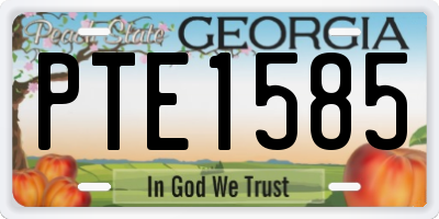 GA license plate PTE1585
