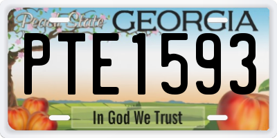 GA license plate PTE1593