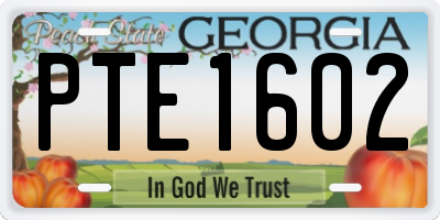 GA license plate PTE1602