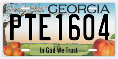 GA license plate PTE1604