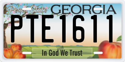 GA license plate PTE1611