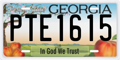 GA license plate PTE1615