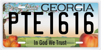 GA license plate PTE1616