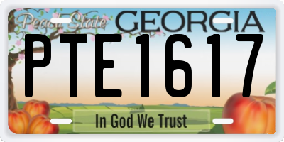GA license plate PTE1617