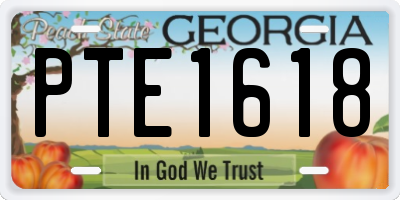GA license plate PTE1618