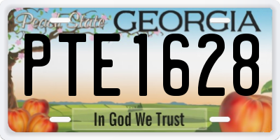 GA license plate PTE1628
