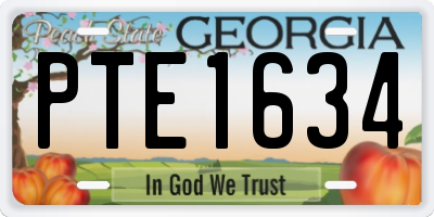 GA license plate PTE1634