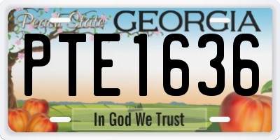 GA license plate PTE1636