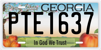 GA license plate PTE1637