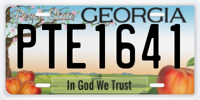 GA license plate PTE1641