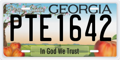 GA license plate PTE1642