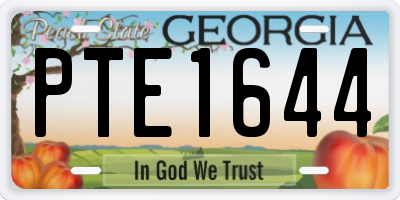 GA license plate PTE1644
