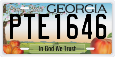 GA license plate PTE1646